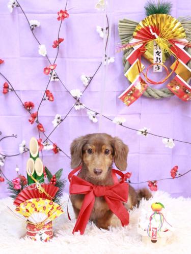 20230109モカくん